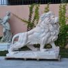 Par-de-Leoes-em-Pe-Marmore-Rosa-145cm-EMP449--5-