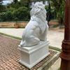 Par-de-Leao-com-Escudo-200cm-EMP463--6-