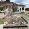 Par-de-Leao-Rosa-Sentado-120cm-EMP461--4-
