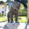 Escultura-Tigre-Marmore-Negro-120cm-EMP508--6-