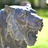 Escultura-Tigre-Marmore-Negro-120cm-EMP508--1-