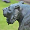 Escultura-Tigre-Bronze-120cm-EBZ512V--10-