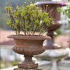 Vaso-Decorativo-Pequeno-Sem-Alca-34cm-VF039--1-