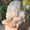 Escultura-Leao-Dormindo-Em-Marmore-Rosado-100cm-EMP202-5-