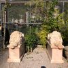 Escultura-Leao-Dormindo-Em-Marmore-Rosado-100cm-EMP202--1-