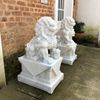 Escultura-Leao-Chines-100cm-EMP493--3-
