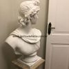 Busto-Apollo-Belvedere-Marmore-Branco-80cm-BMP028--3-