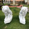 Par-de-Tigres-em-Marmore-Branco-120cm-EMP503--5-