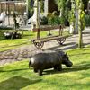 Escultura-de-Bronze-Hipopotamo-45cm-EBZ560--4-
