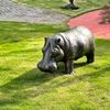 Escultura-de-Bronze-Hipopotamo-45cm-EBZ560--6-