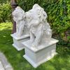 Par-de-Escultura-de-Leao-Sentado-100cm-EML423--5-