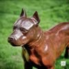 Escultura-de-Cachorro-Pitbull-68cm-VRF248--1-