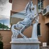 Escultura-de-Cavalo-Rampante-235cm-EMP578--1-