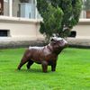 Escultura-Cachorro-Bulldog-Ingles-54cm-VRF249--3-