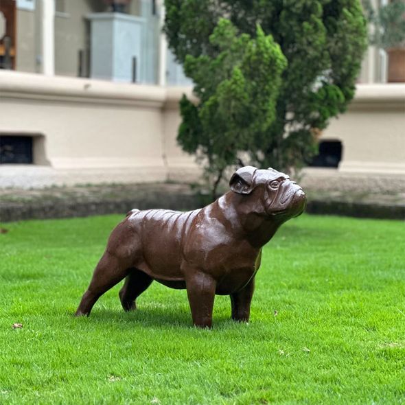 Escultura-Cachorro-Bulldog-Ingles-54cm-VRF249--3-