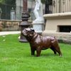 Escultura-Cachorro-Bulldog-Ingles-54cm-VRF249--5-