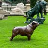Escultura-Cachorro-Bulldog-Ingles-54cm-VRF249--1-