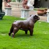 Escultura-Cachorro-Bulldog-Ingles-54cm-VRF249--2-