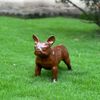 Escultura-Cachorro-Bulldog-Frances-34cm-VRF268