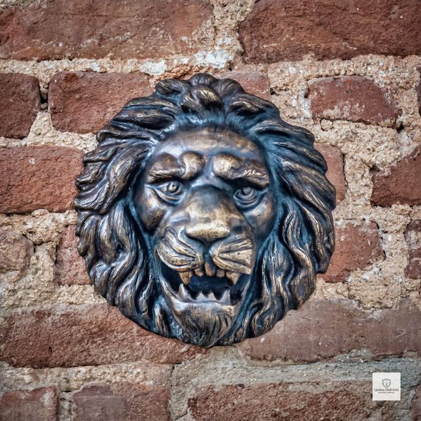 Cara-de-Leao-de-Bronze-30cm-VRBZ316--1-