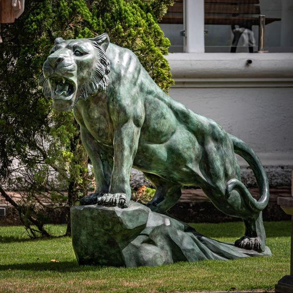 Escultura-Tigre-Bronze-120cm-EBZ512V