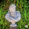 Busto-Zeus-em-Marmore-Branco-79cm-BMP062--1-