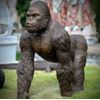 escultura-gorila-de-bronze-andando-105cm-ebz710--1-.jpg