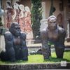 escultura-gorila-de-bronze-andando-105cm-ebz710--3-.jpg