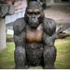 escultura-gorila-de-bronze-sentado-90cm-ebz709--1-.jpg