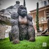 escultura-gorila-de-bronze-sentado-90cm-ebz709--3-.jpg