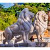 Leao-da-Montanha-Branco-140cm-EMP270