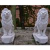 Leao-da-Montanha-Branco-140cm-EMP270--4-