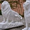 Leao-da-Montanha-Branco-140cm-EMP270--2-