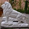 Leao-da-Montanha-Branco-140cm-EMP270--3-